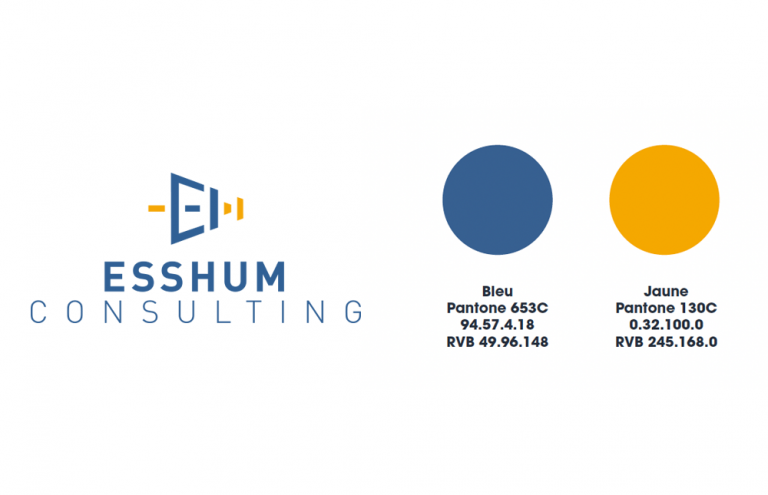 Esshum Consulting - charte graphique